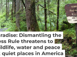 A sign on a dirt hiking trail in the Tongass National Forest in southeast Alaska points to naturalist John Muir’s cabin. Wanderluster/iStock/Getty Images